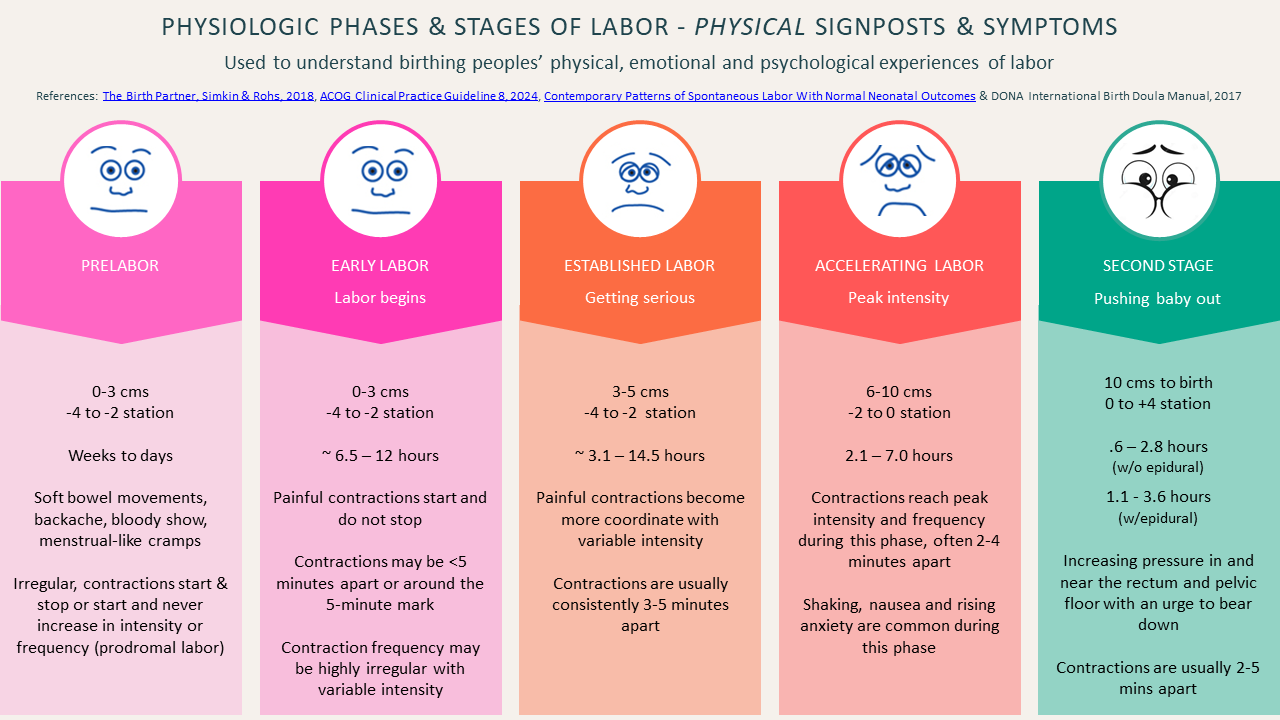 Physical Phases & Stages